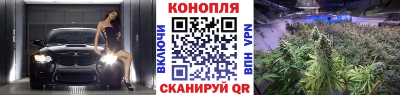 Каннабис VHQ  Отрадное 